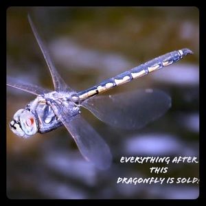 Everything past here is SOLD!